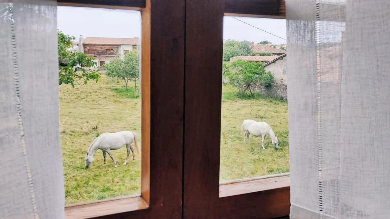 Casa Dolfin - "Tu Hogar En La Costa Del Paraiso" Guest House Navés Екстериор снимка